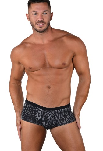 Boxeri Brazilieni ROBERTO LUCCA 10033 11102