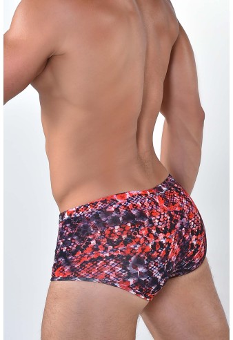 Boxeri Brazilieni ROBERTO LUCCA 90033 11106